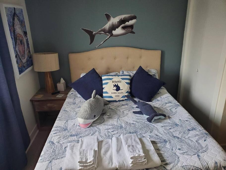 The Lost Loggerhead- Obx Ocean View Beach House Avon Bagian luar foto